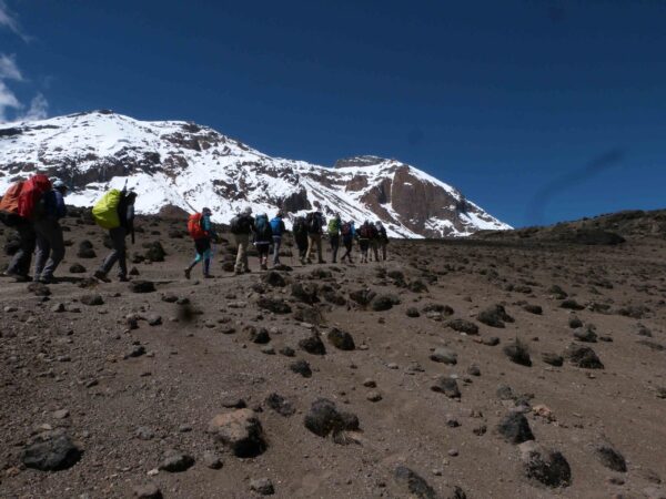Africa Day Summit Challenge 2025 – Full Climb Experience - Image 7